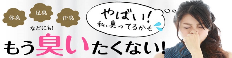 킫΍̃fIhgTCg